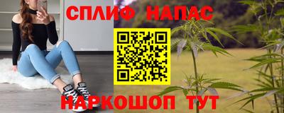 сатива Аргун