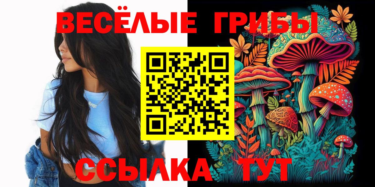 Галлюциногенные грибы прущие грибы  Вход с VPN  Тында 