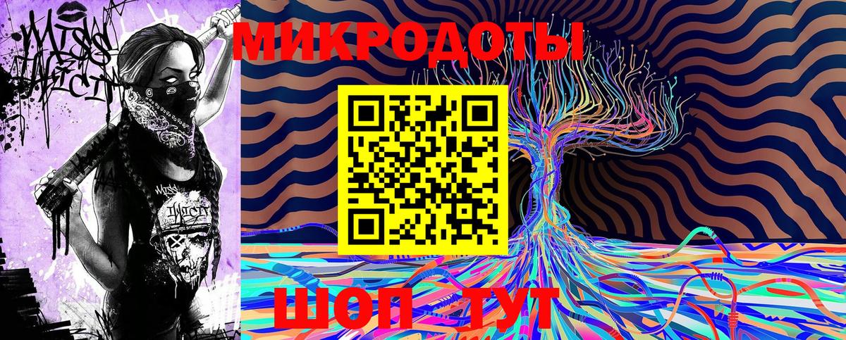 Галлюциногенные грибы Psilocybe  закладки  Тында 